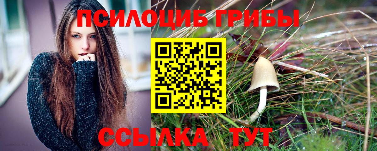 Псилоцибиновые грибы Psilocybe Надым