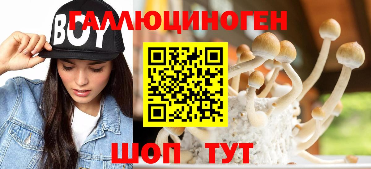 Галлюциногенные грибы Psilocybine cubensis  Галлюциногенные грибы прущие грибы  Вход с VPN  Надым 
